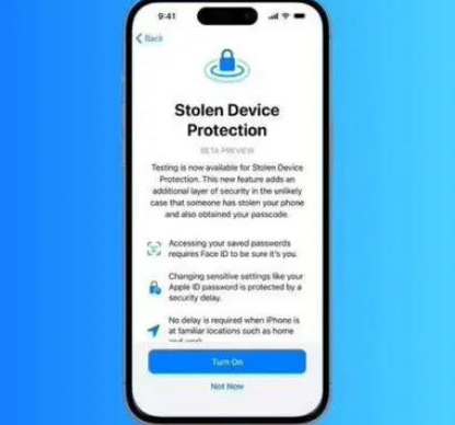 楚雄苹果授权维修店分享被盗设备保护功能开启方法 