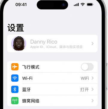 楚雄appleID维修服务iPhone设置中Apple ID显示为灰色无法使用 