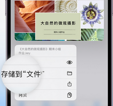 楚雄apple维修中心分享iPhone文件应用中存储和找到下载文件