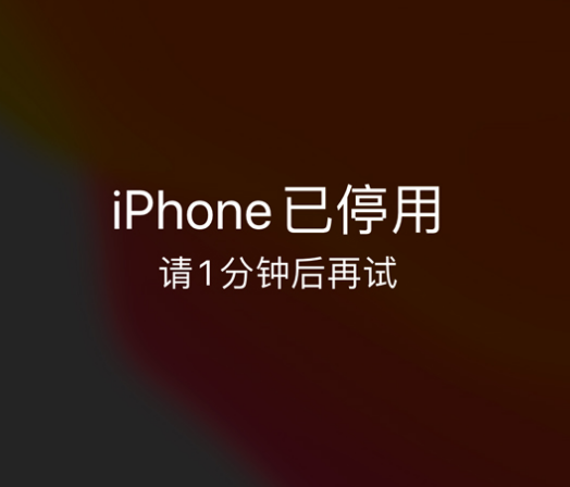 楚雄苹果手机维修分享:iPhone 显示“不可用”或“已停用”怎么办？还能保留数据吗？ 