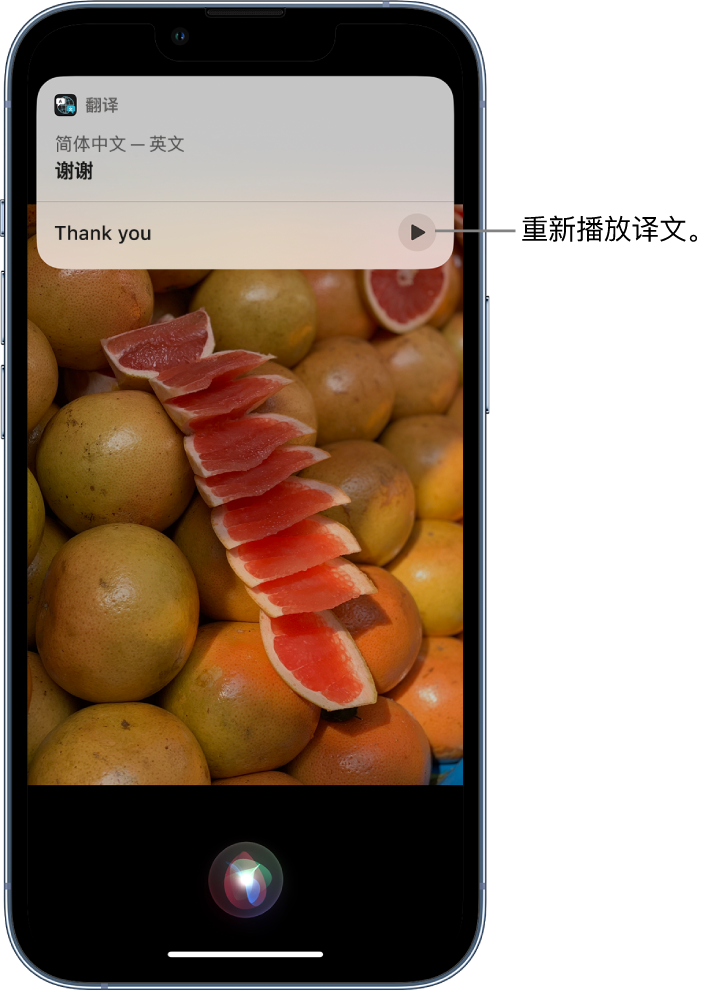 楚雄苹果14维修分享 iPhone 14 机型中使用 Siri：了解 Siri 能帮你做什么 