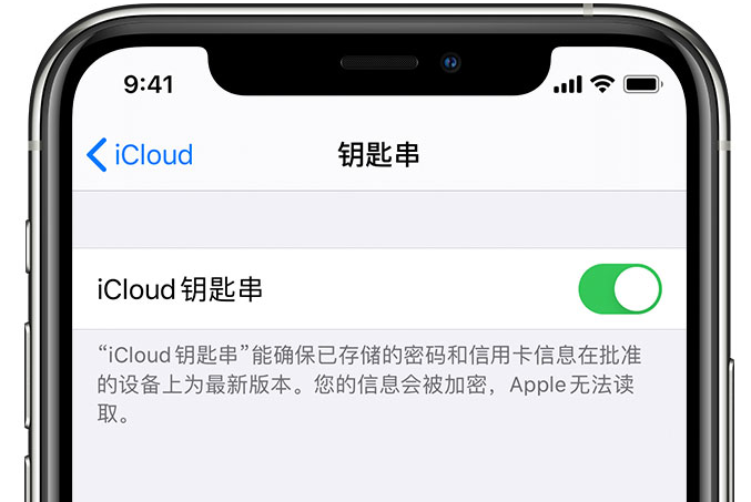 楚雄苹果手机维修分享在 iPhone 上开启 iCloud 钥匙串之后会储存哪些信息 