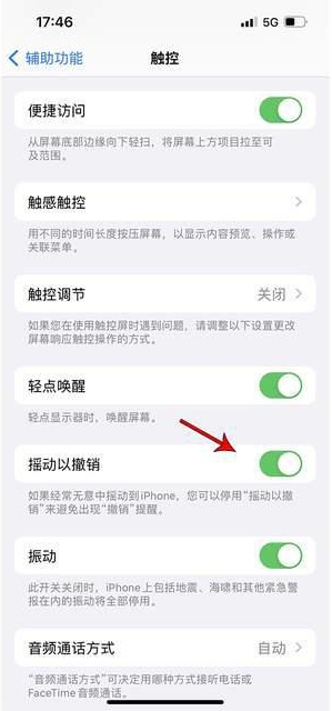 楚雄苹果手机维修分享iPhone手机如何设置摇一摇删除文字 